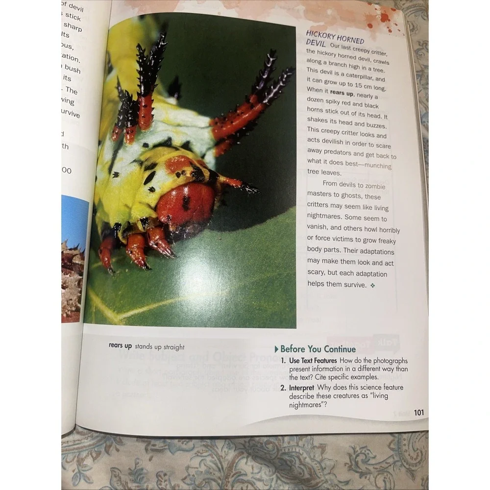 Reach Higher Student's Book 6A - Language, Literacy, Content‎